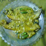Pabda Catfish Gravy/Pabda Fish In Mustard Sauce/Sorshe-Mach